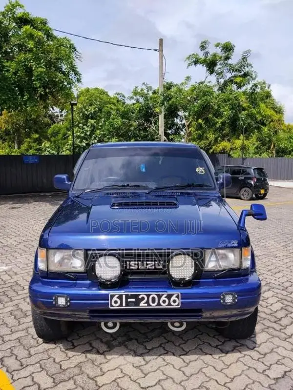 Isuzu Bighorn 1991 SUV (Used)