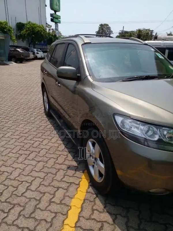 Hyundai Santa Fe 2007 SUV (Used)