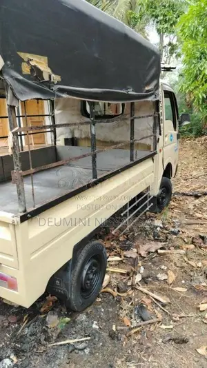 Tata Dimo batta 2010 Lorry (Used)