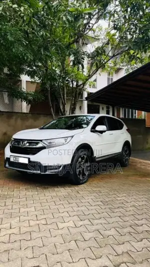 Honda CRV 2019 SUV (Used)