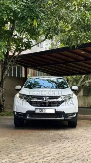 Honda CRV 2019 SUV (Used)