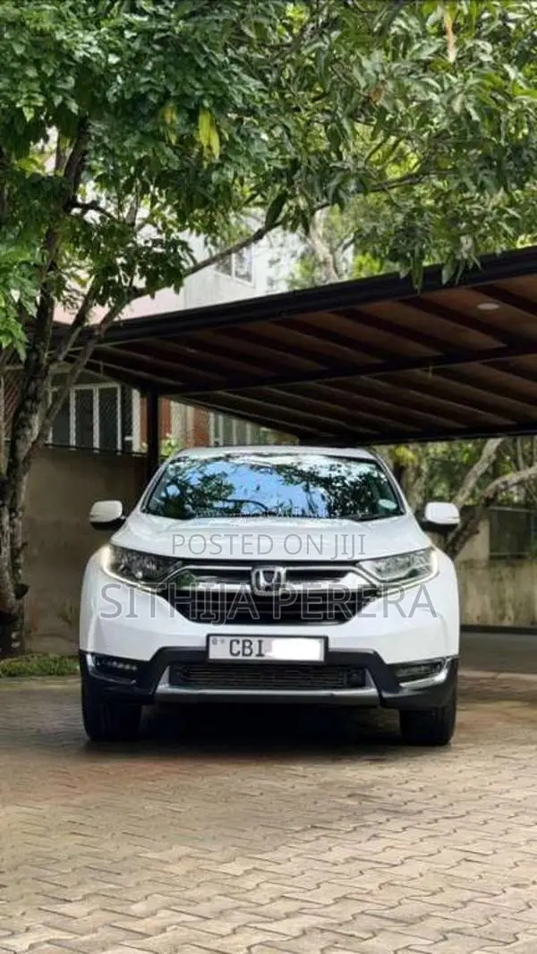 Honda CRV 2019 SUV (Used)