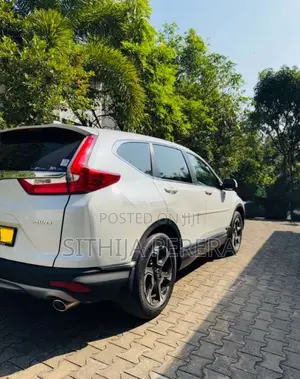 Honda CRV 2019 SUV (Used)