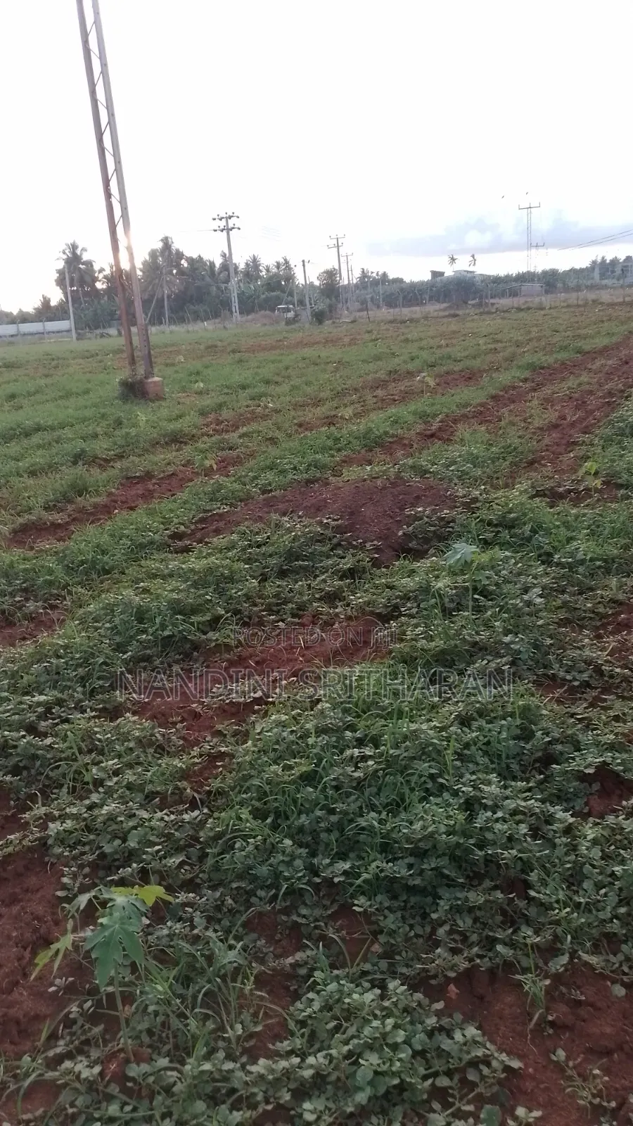 Land for Sale St Chunnakam