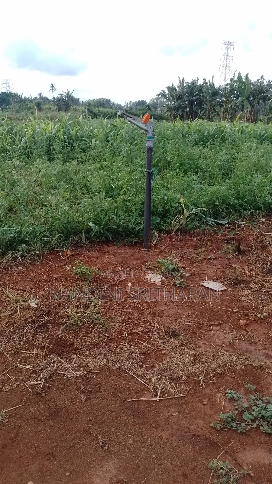 Land for Sale St Chunnakam