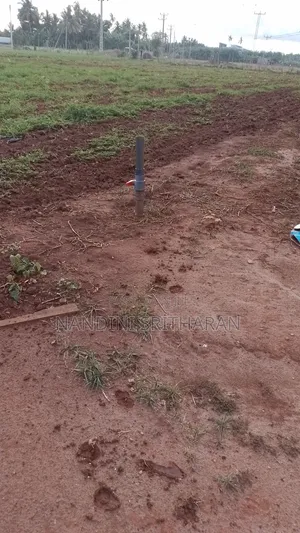 Land for Sale St Chunnakam