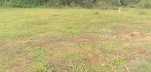 Land for Sale in Godagama