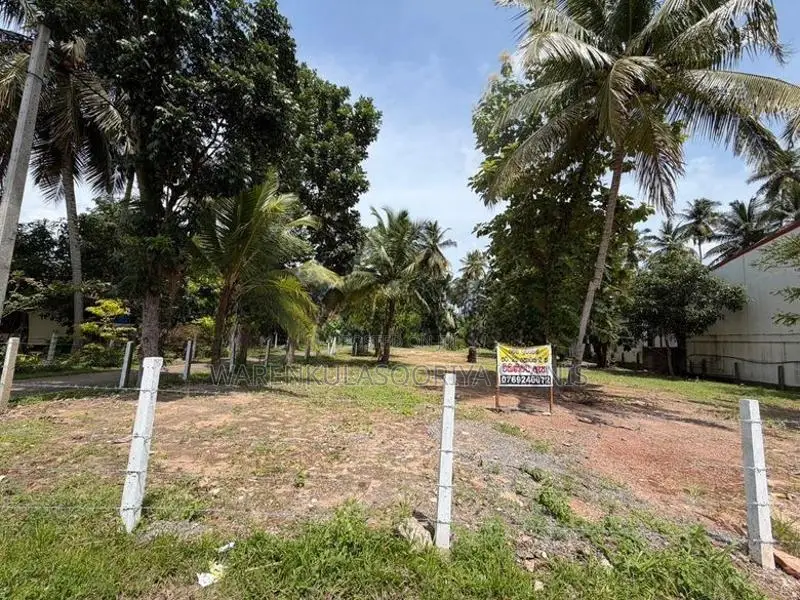 20 Perches Land Sale in Negombo