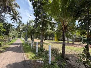 20 Perches Land Sale in Negombo