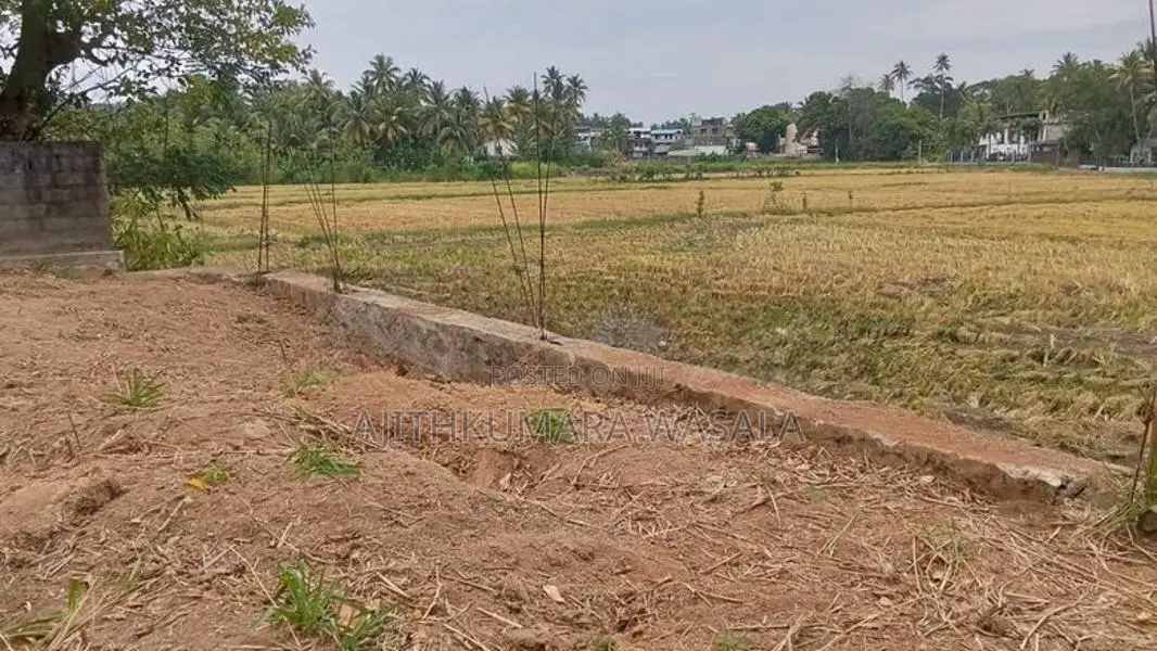 Polgahawela Land For Sale