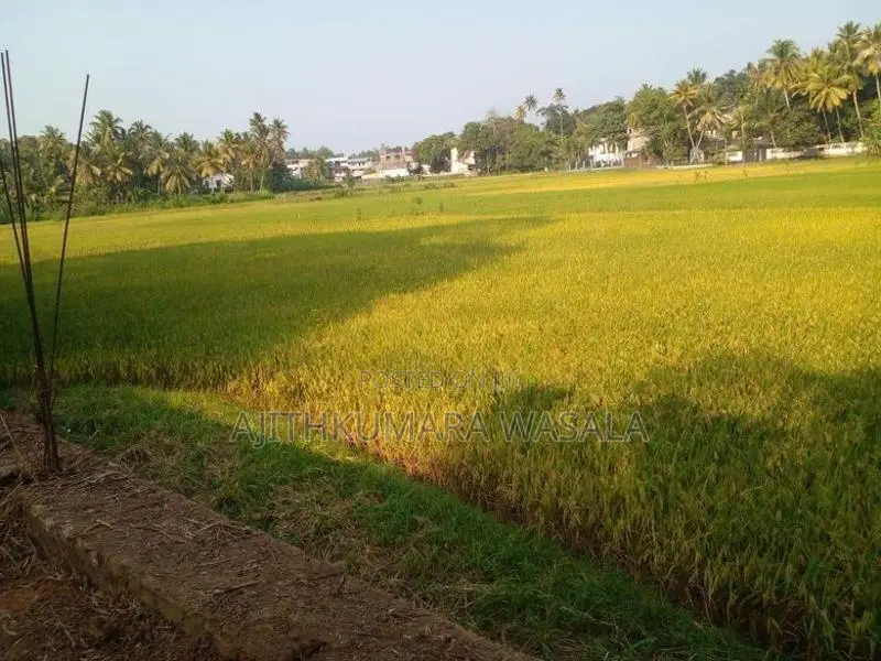 Polgahawela Land For Sale