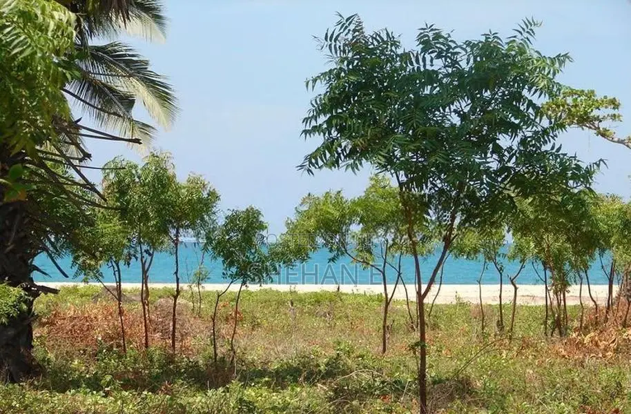 2 Beachfront Lands For Sale - Pasikuda Srilanka In Batticaloa