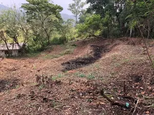 40 Perches Land for Sale in Nawalapitiya