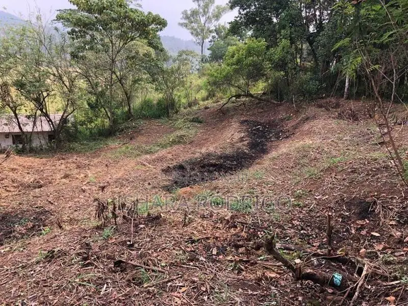 40 Perches Land for Sale in Nawalapitiya