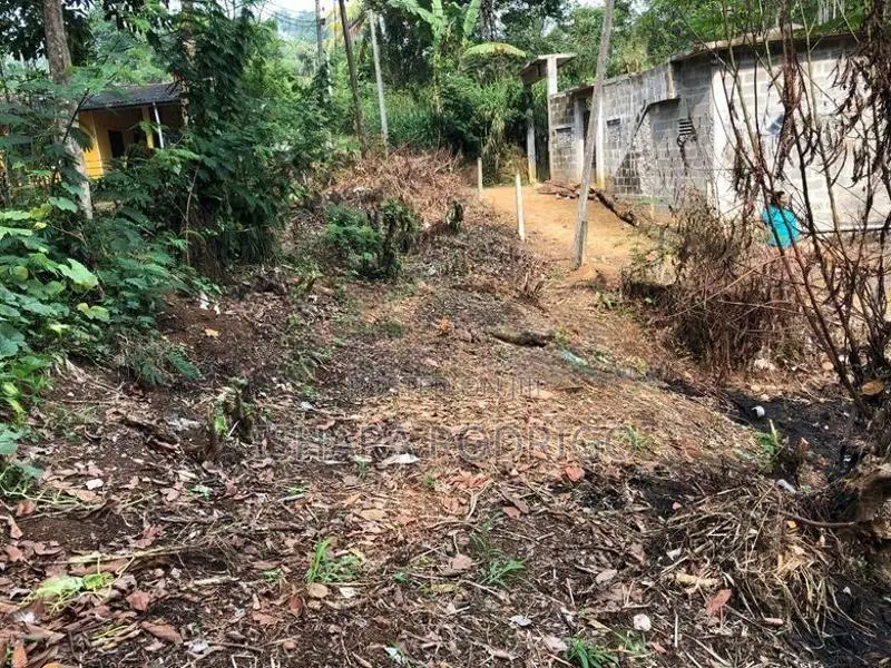40 Perches Land for Sale in Nawalapitiya
