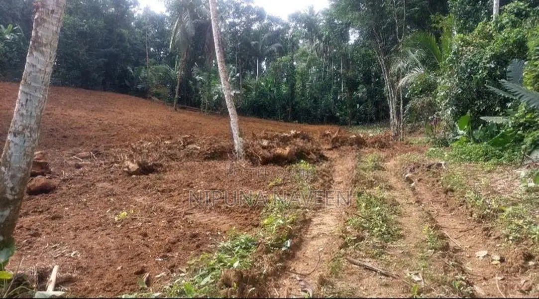 Land For Sale In Waga Hanwella