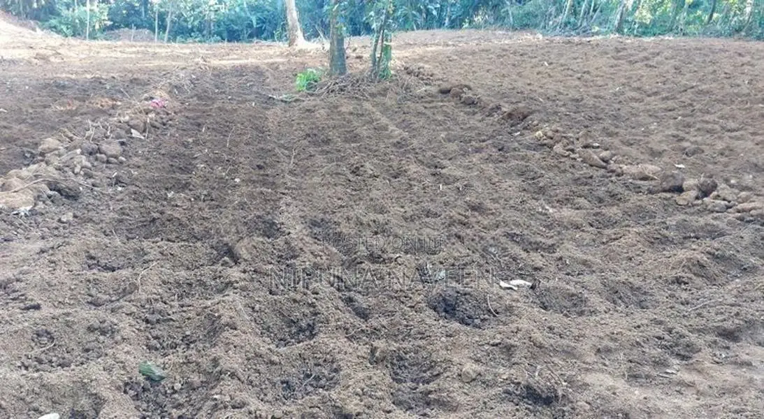 Land For Sale In Waga Hanwella