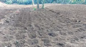 Land For Sale In Waga Hanwella