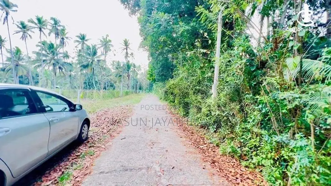 Prime Land For Sale In Pothuhera