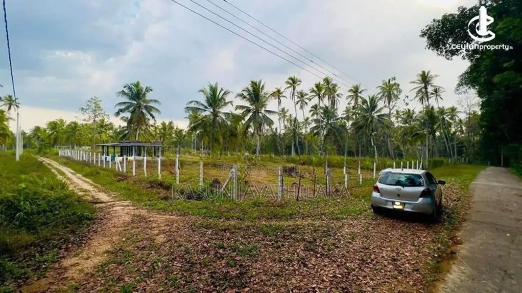 Prime Land For Sale In Pothuhera