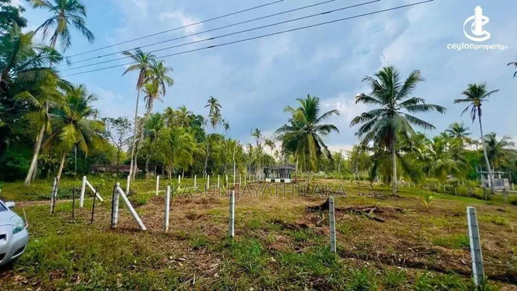 Prime Land For Sale In Pothuhera
