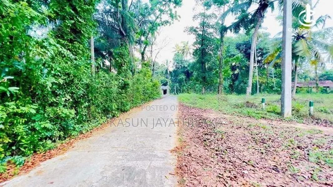 Prime Land For Sale In Pothuhera