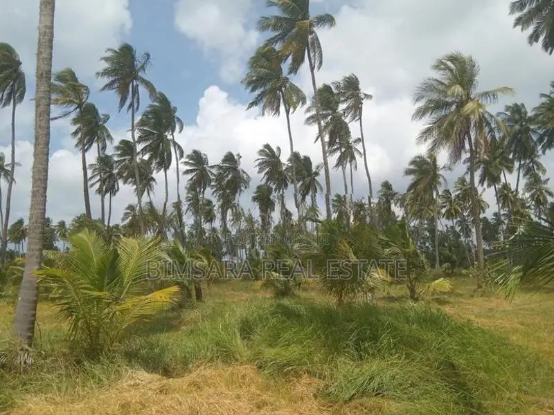 20 Acre Coconut Estate Agricultural Land Puttalam