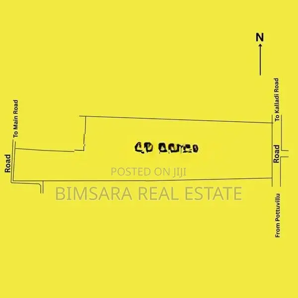 20 Acre Coconut Estate Agricultural Land Puttalam
