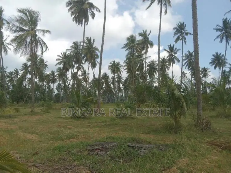 20 Acre Coconut Estate Agricultural Land Puttalam
