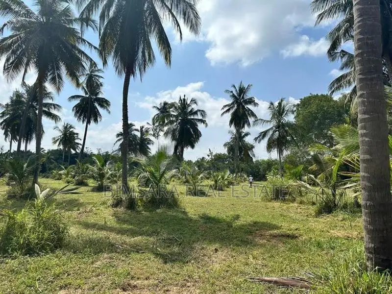 20 Acre Coconut Estate Agricultural Land Puttalam