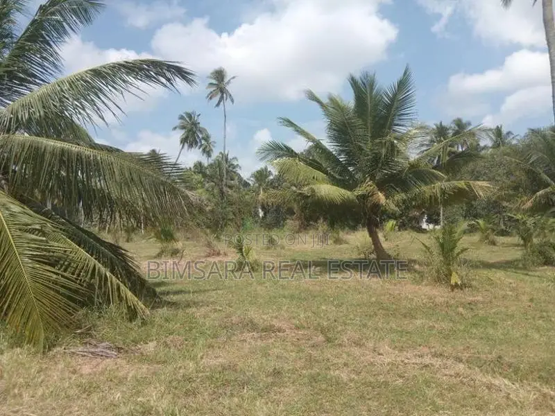 20 Acre Coconut Estate Agricultural Land Puttalam