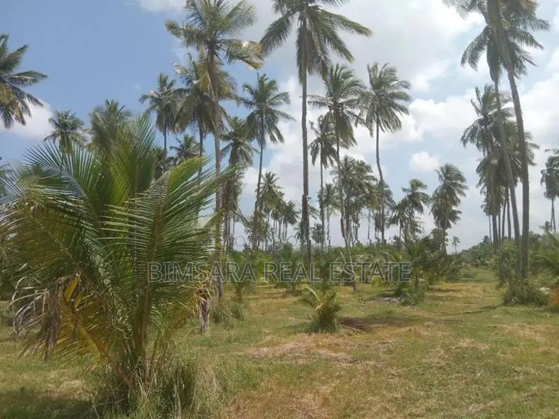 20 Acre Coconut Estate Agricultural Land Puttalam
