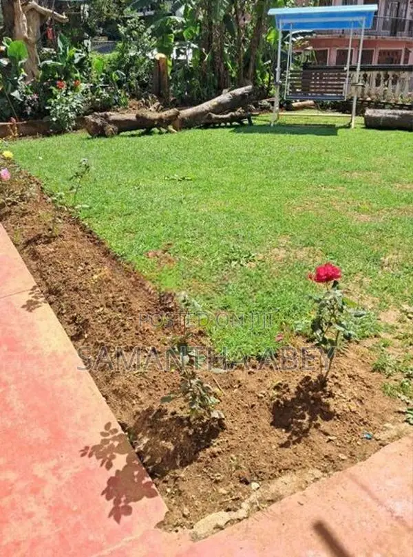 4 Rooms With Full Holiday Bungalow For Rent In Nuwara Eliya