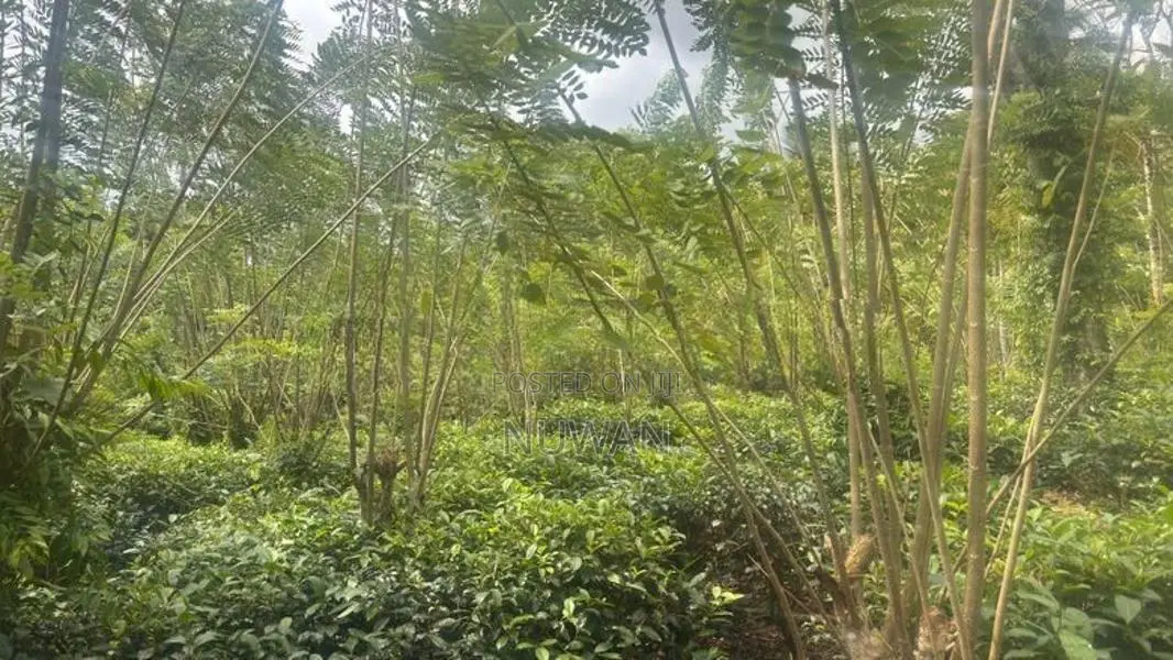 Land for Sale – Handapangoda-6km Ruwanpura Highway Entrance