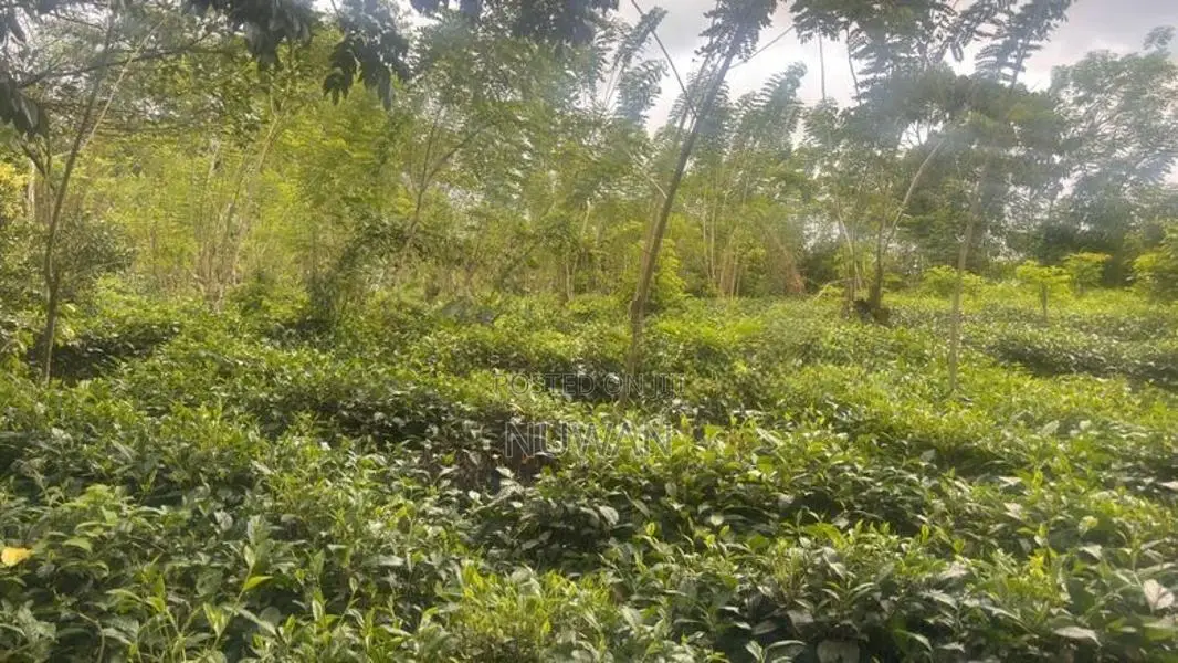 Land for Sale – Handapangoda-6km Ruwanpura Highway Entrance