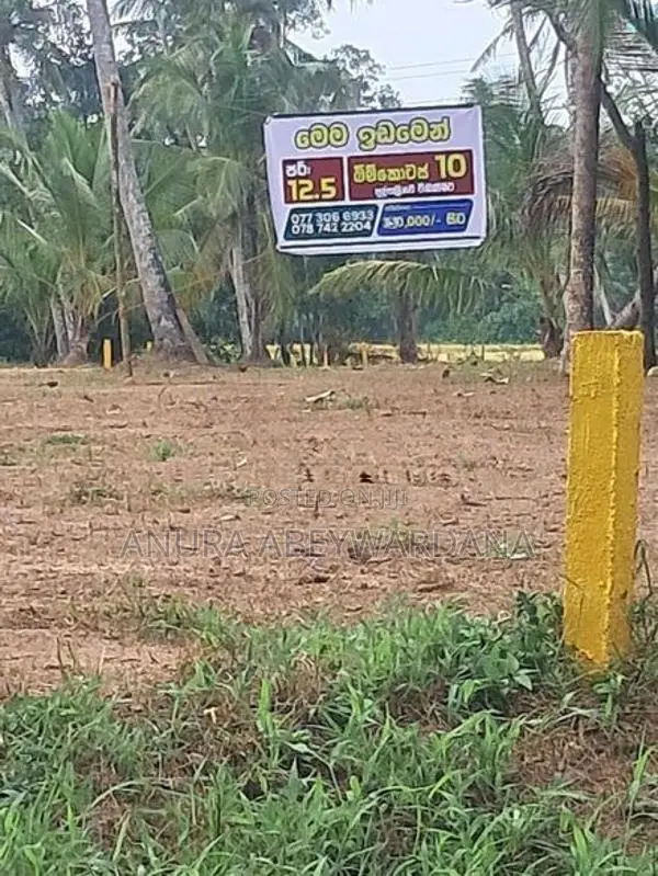 Commercial Land for Sale in Divulapitiya