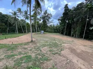 Land In Alawwa Residential