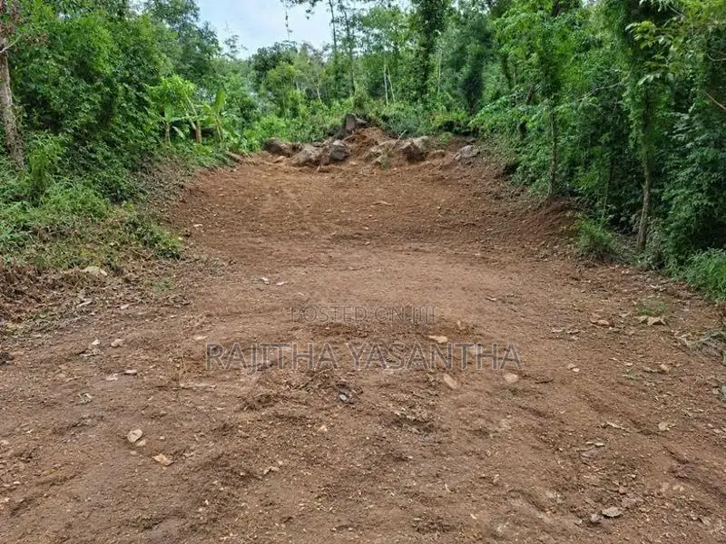 Land For Sale Dodangoda- වටිනා ඉඩමක් විකිණීමට - දොඩන්ගොඩ