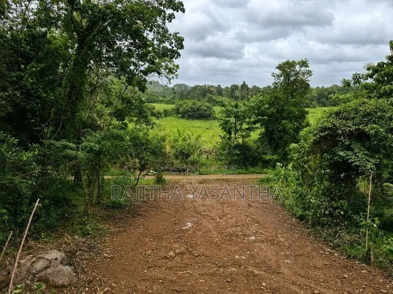 Land For Sale Dodangoda- වටිනා ඉඩමක් විකිණීමට - දොඩන්ගොඩ