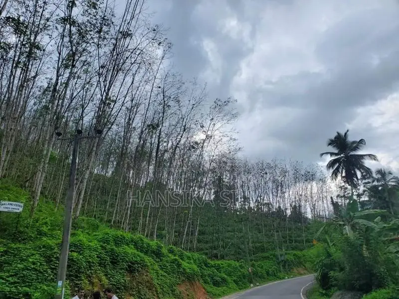 Land for Sale in Yatiyantota