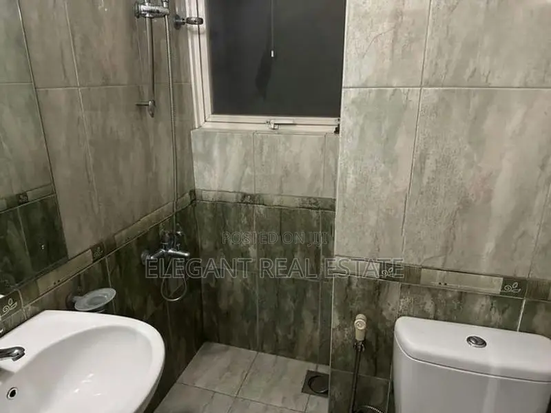 Skyline - 02 Bedroom Apartment for Rent in Colombo 08 (a5939)-