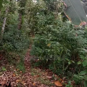 Commercial Land for Sale in Hikkaduwa