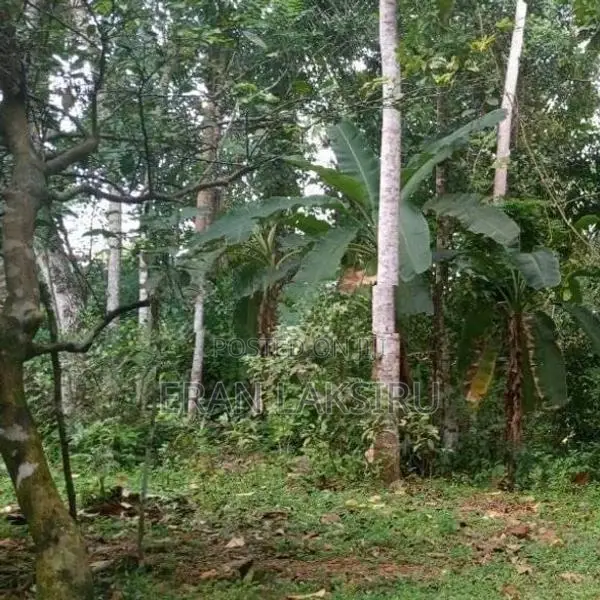 Commercial Land for Sale in Hikkaduwa