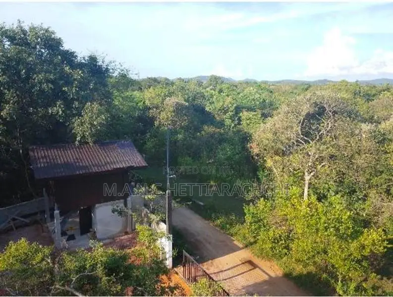 Jungle Cabana/Sigiriya Rooms/Habarana Apartment/ Holiday Home/Junglest