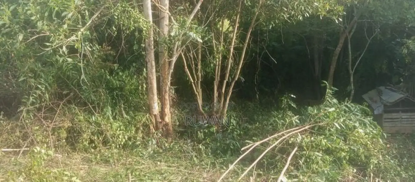 Land for Sale - Kalutara (කළුතර, සේරුපිට)