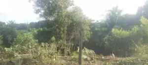 Land for Sale - Kalutara (කළුතර, සේරුපිට)