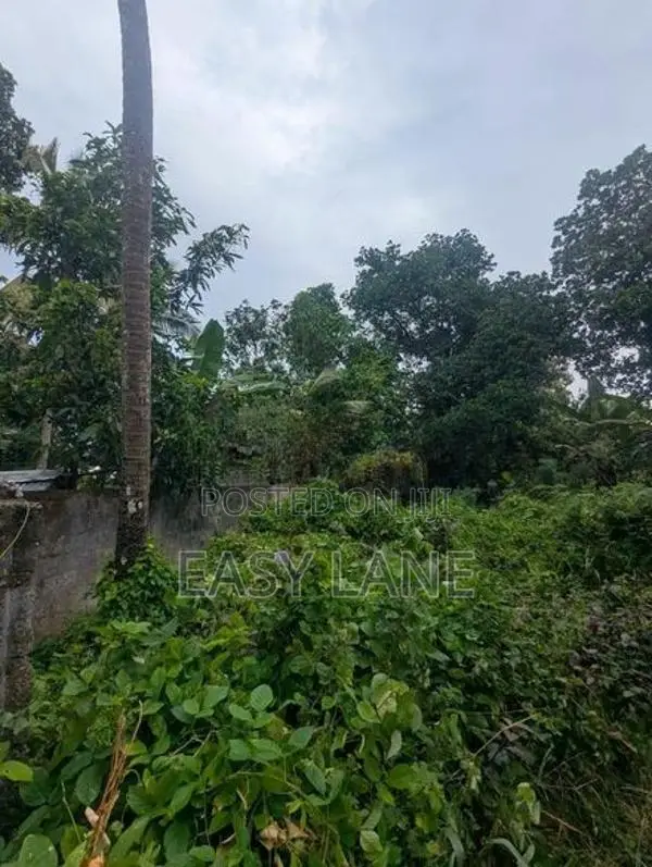 Land for Sale in Kandana - KM 16210