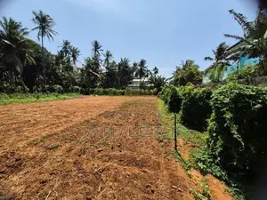 Land for Sale Kondavil Jaffna