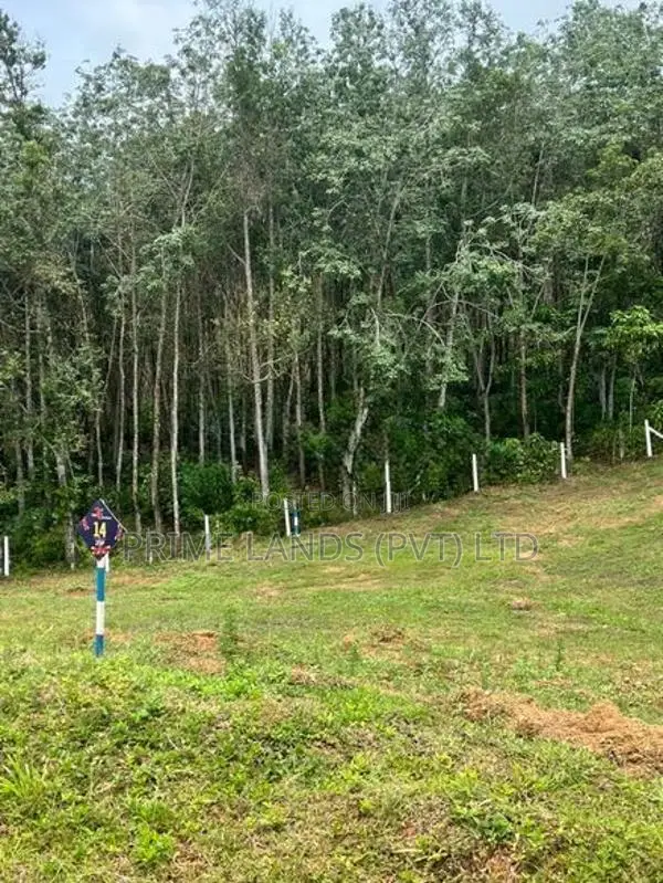 Land for Sale Aluthgama