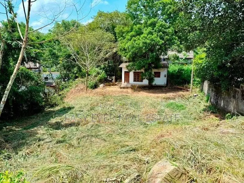අතුරුගිරියෙන් වටිනා නේවාසික ඉඩමක් විකිණීමට
